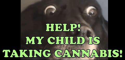 'Help, my child is consuming cannabis' - Where are the facts! UK420Revolt Q&A