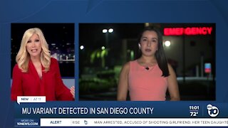 ABC 10News at 11pm Top Stories