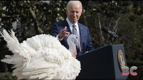 Biden grants turkey’s Liberty and Bell traditional presidential pardon
