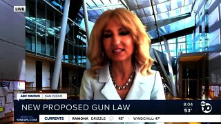 Legal analyst talks new California proposed gun law