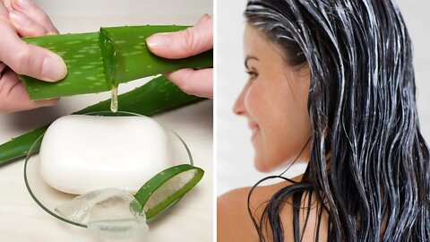 How to Make Shampoo Bar at Home With Fresh Aloe Vera