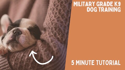 Military Grade K9 Dog Training