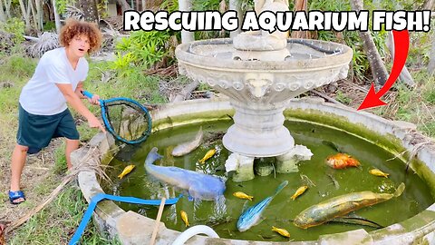 Rescuing AQUARIUM FISH From GREEN SLIME POND!