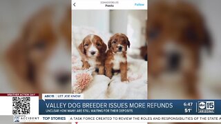 Valley Goldendoodle breeder issues more refunds