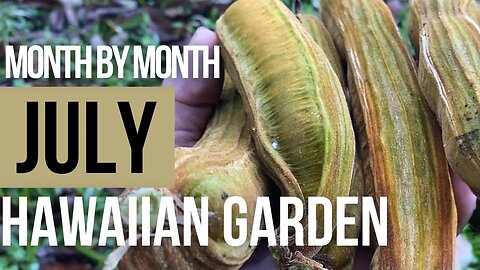What To Do During The Month Of July In The Hawaiian Garden