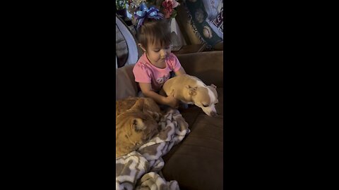 Babygirl loves pets