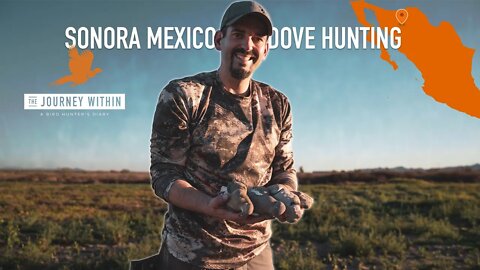 Dove Hunting Sonora Mexico: The Journey Within - A Bird Hunter's Diary | Mark Peterson Hunting