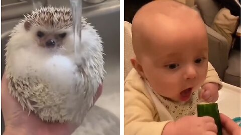 Cutest animal and baby moments that will make your heart skip a beat!