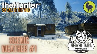 Scenic Weather #1 Medved Taiga | theHunter: Call of the Wild (PS5 4K)