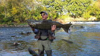 Milwaukee River Salmon Fishing Fall 2021 (Short 2)