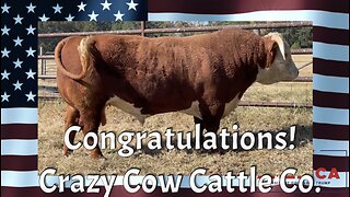 Congratulations! “Crazy Cow Cattle Co.” Purchasing 🔥DOZIER 1105G🔥