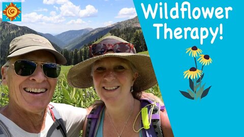 Wildflower Therapy | EP 7 Summer in our OFF GRID SELF-SUSTAINING HOME in the mountains of Colorado