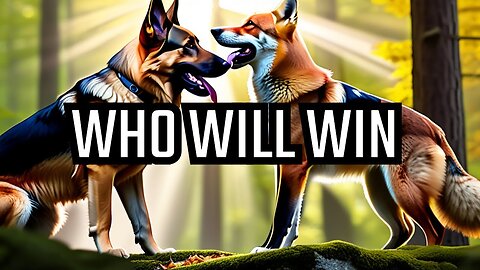 DOG vs FOX : Who will win in fight