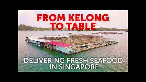 From Kelong To Table: Delivering Fresh Seafood in Singapore