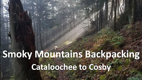 Smoky Mountains Backpacking: Cataloochee to Cosby