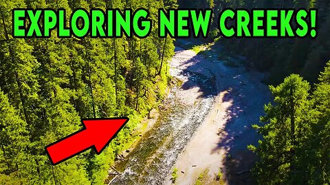 Bank Fishing 2 NEW CREEKS! You WONT Believe The Fish We Caught.