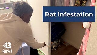 Las Vegas residents claim there is a rat infestation at the Westland Villas at Desert. Pointe