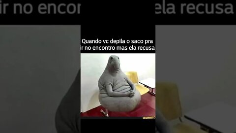 Patotinha dos memes