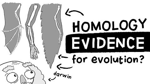 Is Homology Evidence for Evolution? (Long Story Short, Ep. 1)