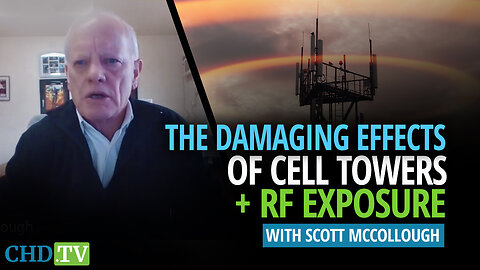 The Damaging Effects of Cell Towers + RF Exposure