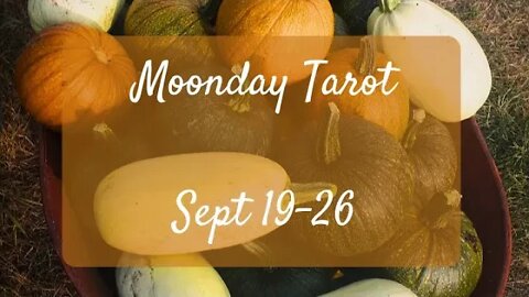 Moonday Tarot - Libra Ingress - New Guest!