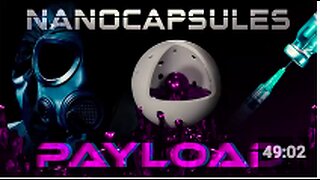 PAYLOAD 2 - NANOCAPSULES 👀