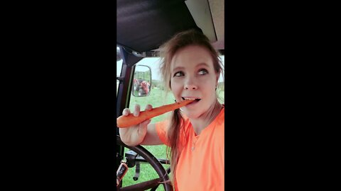 Farm Girl FREAKS OUT Over Mini Tornado While Raking Hay - #shorts