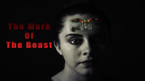The Mark of the Beast: What will it be like in the AntiChrist System?