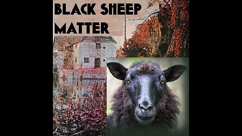 "SOCIETY DESTROYED (Remix)" - BY "BLACK SHEEP MATTER"