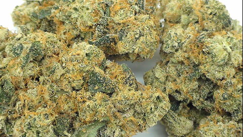 Animal Cookies From BC Bud Supply Close Ups & More