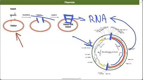 Kevin McKernan weist durch Sequenzierung Plasmide in mRNA-Vakzinen nach