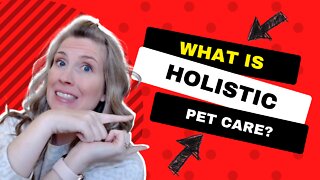 What Is A Holistic Approach To Pet Health?