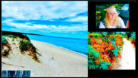 A Late Summer SeaScape and Woodland Trail Hike