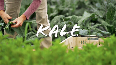 FOODIE || Farm-To-Table: Kale (2023)