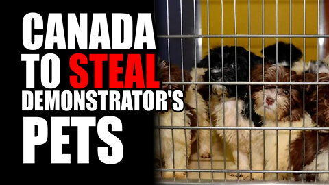 Canada to STEAL Demonstrator's Pets