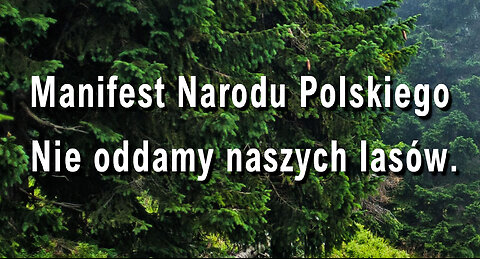 Manifest Narodu Polskiego - Nie oddamy naszych lasów.