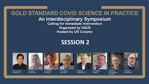 Doctors for Covid Ethics Symposium - Session 2: The Going Direct Reset
