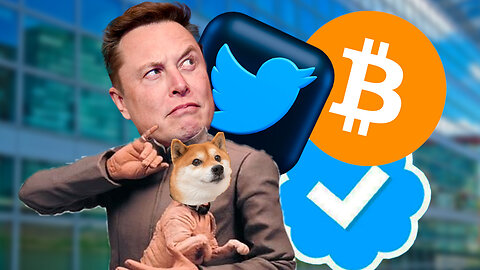 ELON FIRES TWITTER LEADERSHIP!