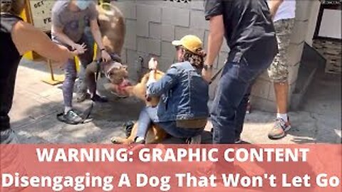 Dog Attack: Disengaging A Dog That Won't Let Go, Defend Against Dog Attack