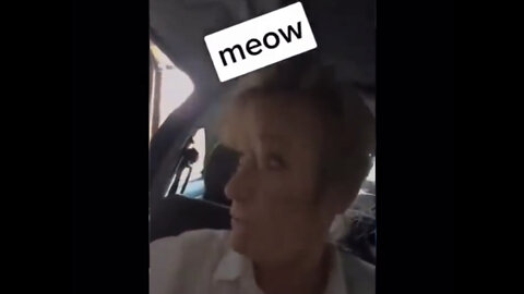 Substitute Teacher Fired For Not Meowing Back At Student Who Identifies As A Cat