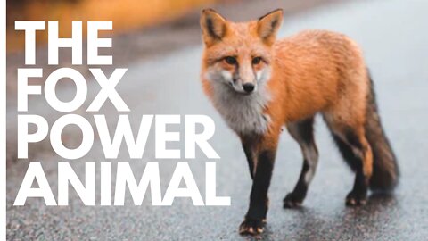 The Fox Power Animal
