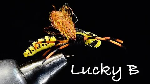 Lucky B - Yellow Jacket Hornet Bee Fly Tying Instruction - Tied by Charlie Craven