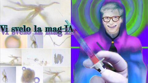 Animali fantastici e dove trovarli: Le magie dell'Hydrogel a Cristalli Liquidi