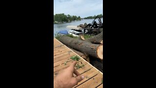 Tree removal from deck