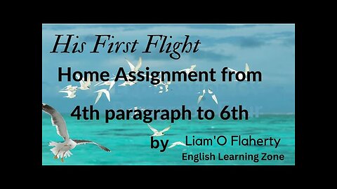 His first flight || Homme Assignment|| story || prose || Command English