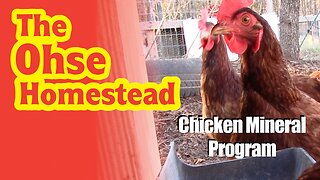 Chicken Mineral Program