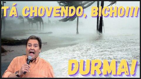 Eitaaa! Tá chovendo bichooo! Barulho de chuva Durma, descanse, medite, ore e estude!