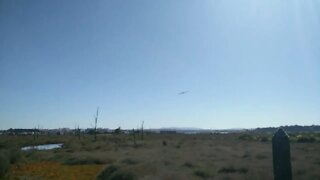 UAV Flight Tests II - Landing