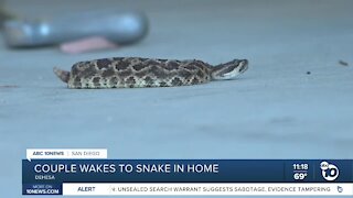 East County couple finds rattlesnake in living room