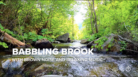 Babbling Brook: 90 Minutes of Creek Sounds and Relaxing Music